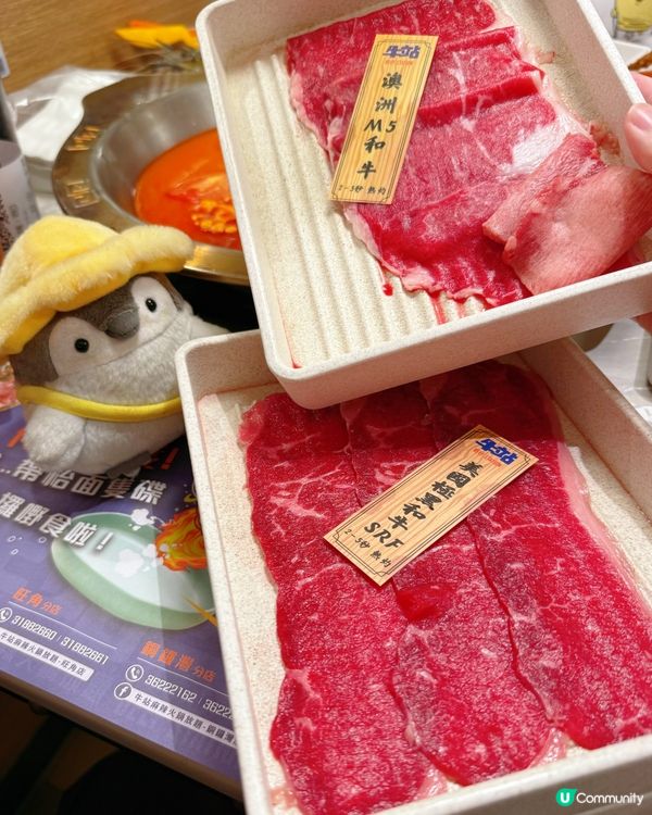 任食大頭蝦火鍋放題🥰