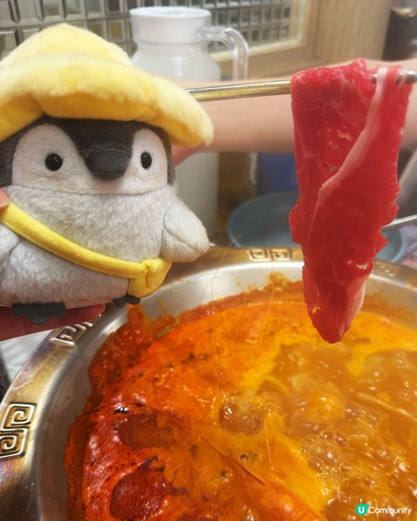 任食大頭蝦火鍋放題🥰