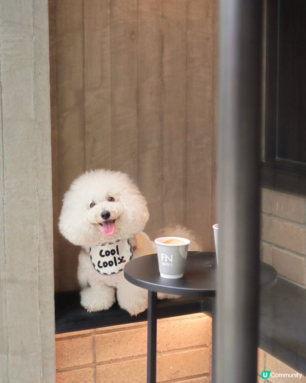 跑馬地新店 黑色型格chill住嘆