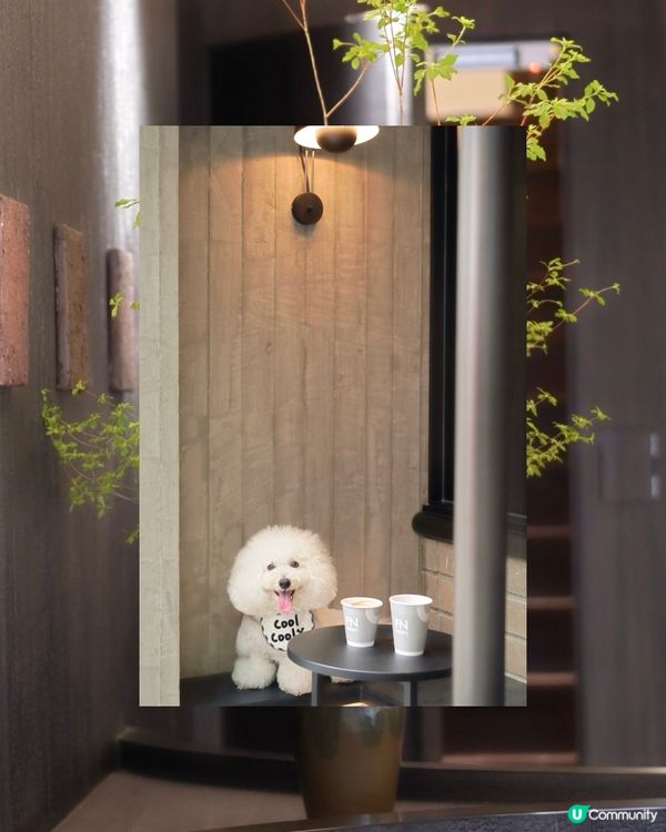 跑馬地新店 黑色型格chill住嘆