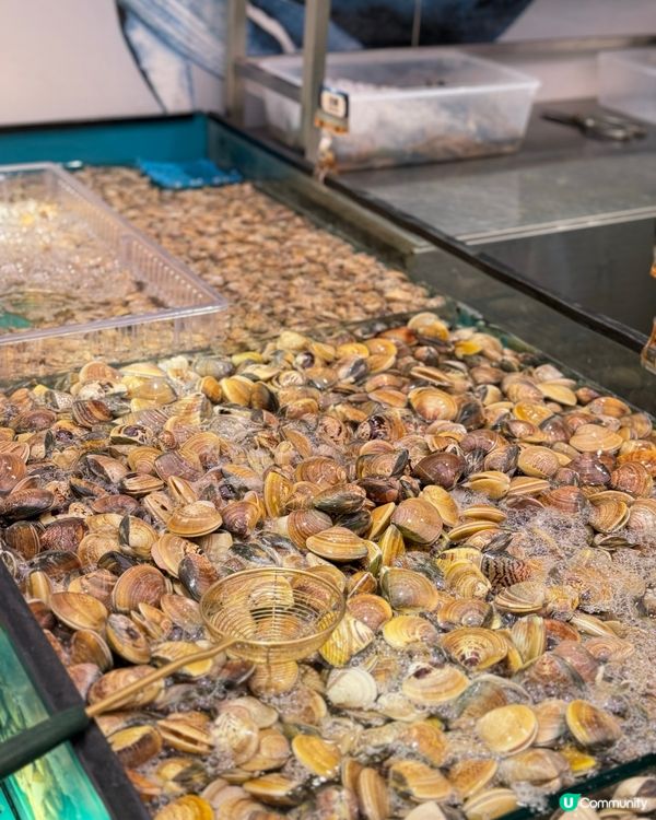 即撈即劏！香港都有任食海鮮🦞