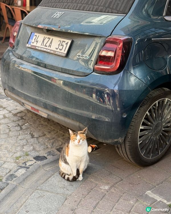 人生必去：土耳其行程（上）📍