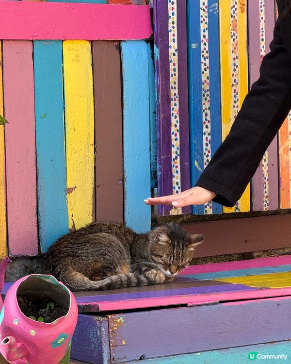 人生必去：土耳其行程（上）📍