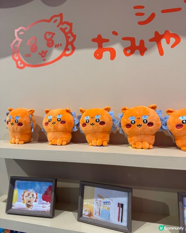 沖繩 ｜ Chiikawa 專門店❣️