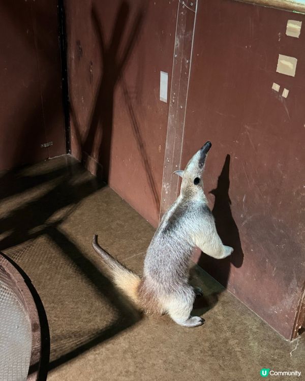 沖繩｜探索海洋的奇妙世界🌊