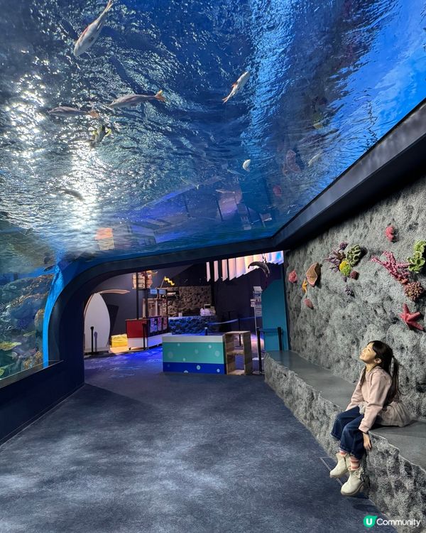 沖繩｜探索海洋的奇妙世界🌊