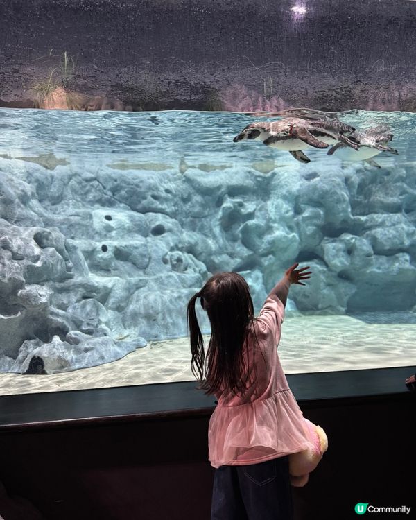 沖繩｜探索海洋的奇妙世界🌊