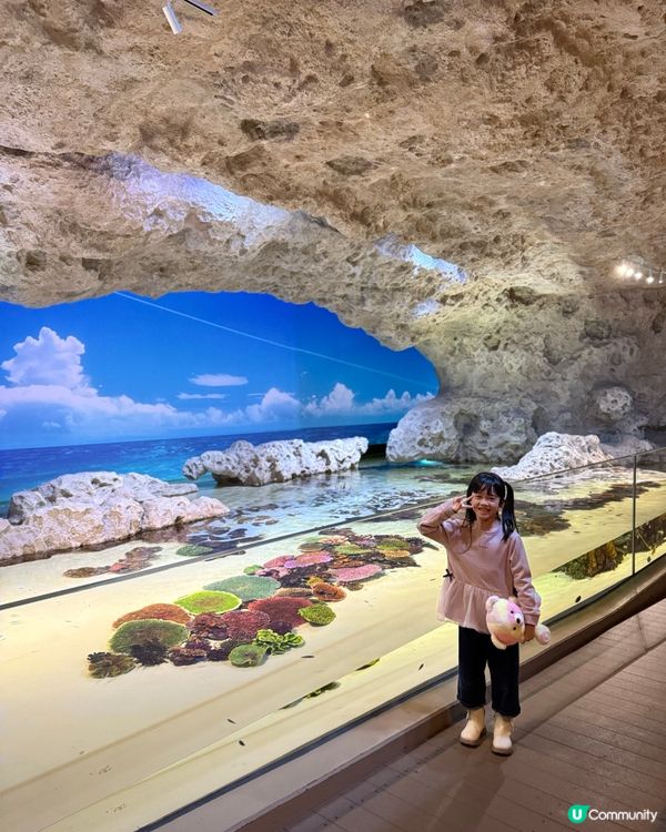 沖繩｜探索海洋的奇妙世界🌊