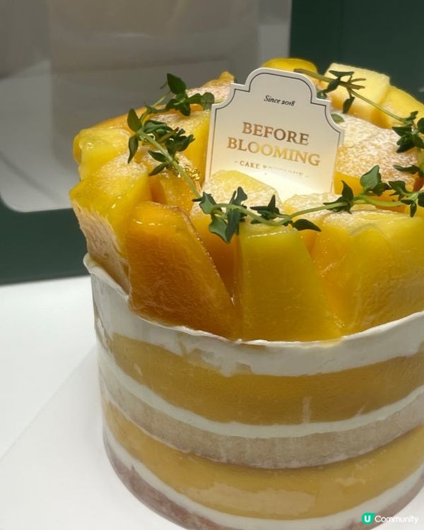 🇰延南洞甜品推介before blooming 迷你芒果蛋