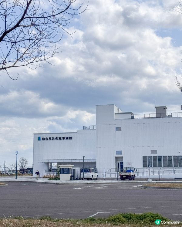 仙台海洋森林水族館🐠  海底森林之旅！