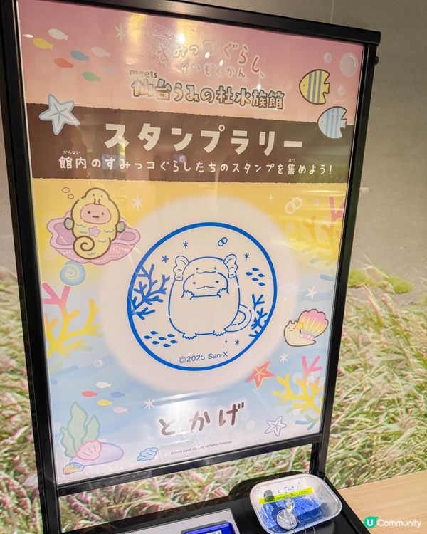 仙台海洋森林水族館🐠  海底森林之旅！