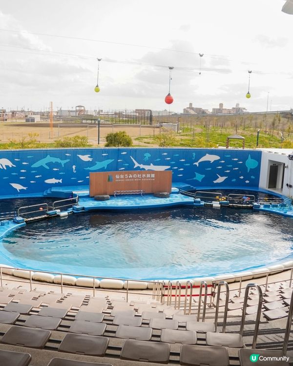 仙台海洋森林水族館🐠  海底森林之旅！