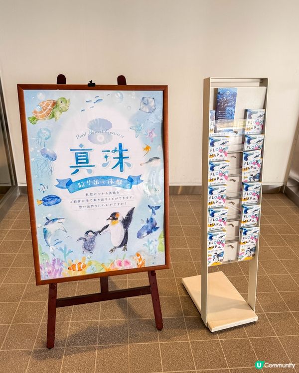 仙台海洋森林水族館🐠  海底森林之旅！