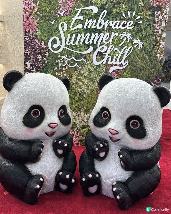 如果你都鍾意我嘅分享如果都鍾意我嘅分享請高抬貴手禁右上角關注...