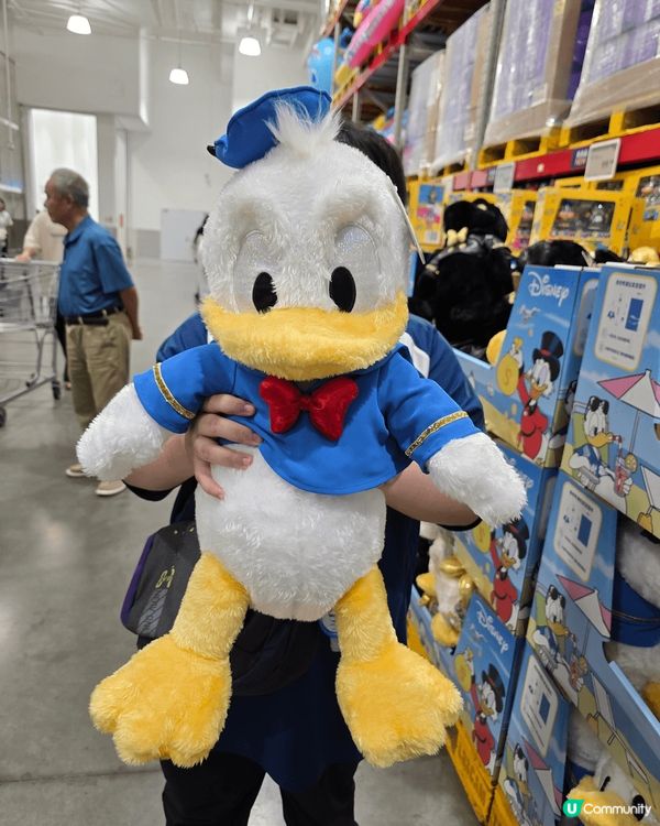 去咗山娒見到唐老鴨公仔，好攪笑呀，有金色嘅錢錢錢嘅唐老鴨，但...