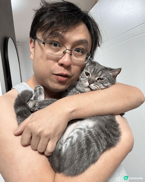 我最想主子每天晨光中蜷縮在膝上，你打呼嚕我翻書；午後追逐雷射...