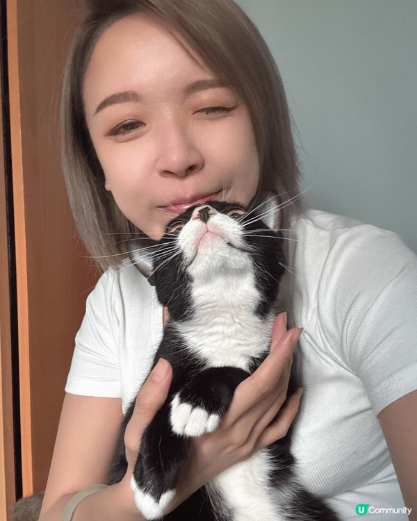 🤣🤣貓咪真的是神奇的生物，無時無刻都可愛爆炸，讓主人變m...