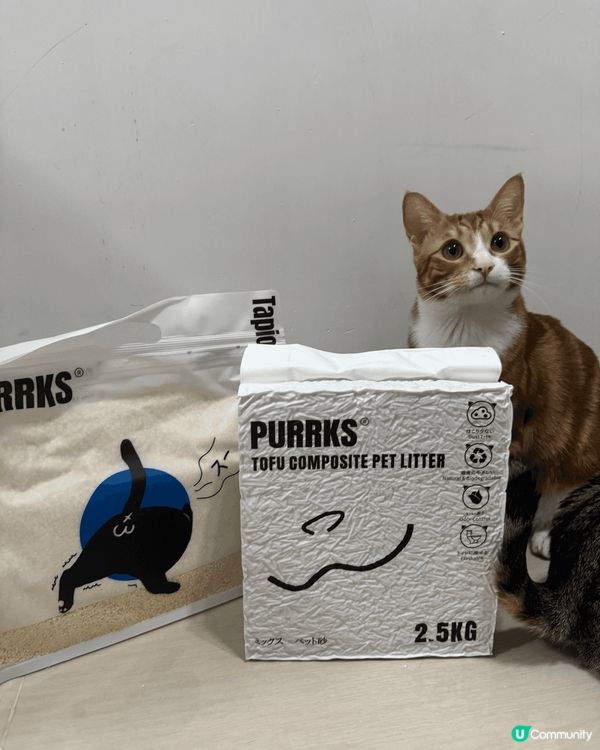 Hello我地係蛋捲同皮蛋兄弟