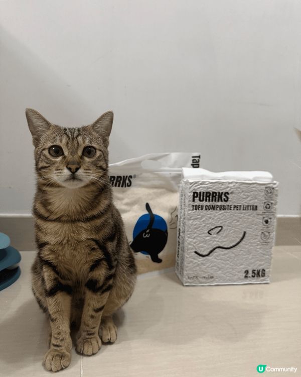 Hello我地係蛋捲同皮蛋兄弟