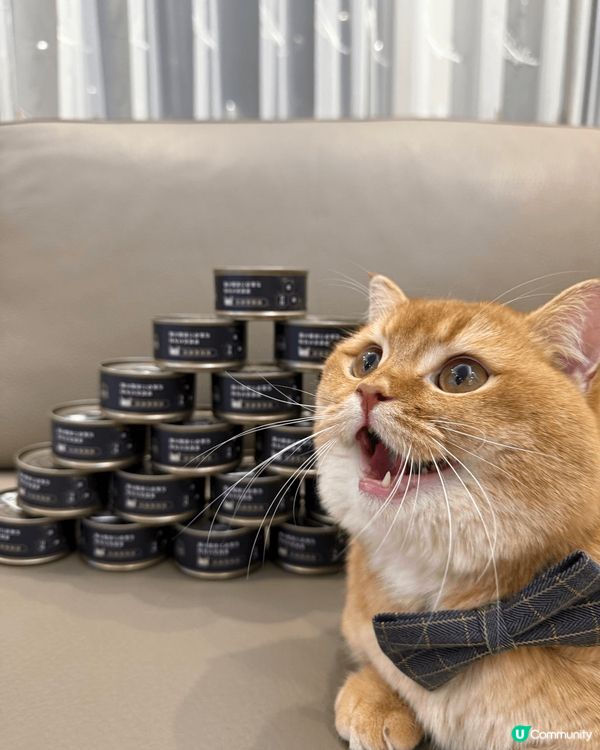 金金 - 無業獨生子之日常耍癈生活