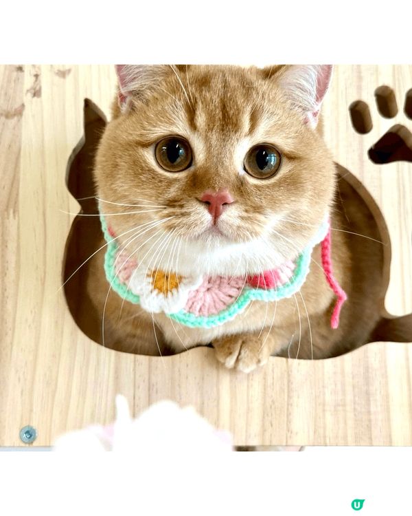 金金 - 無業獨生子之日常耍癈生活