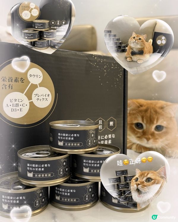 金金 - 無業獨生子之日常耍癈生活