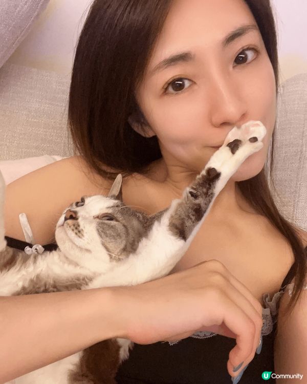 我的寶貝貓叫bubble，最初未諗到佢叫咩名 ，就叫佢寶寶，...