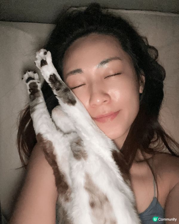 我的寶貝貓叫bubble，最初未諗到佢叫咩名 ，就叫佢寶寶，...