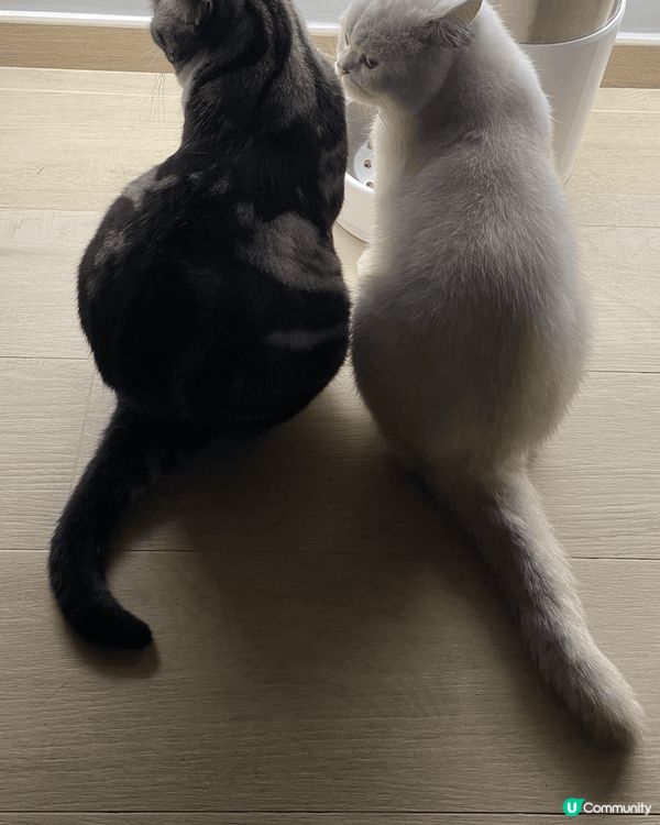 一齊食濕濕，一齊等乾乾