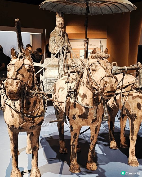 歷史博物館： 天下一統 — 陝西秦漢文明展！雖然細！但都幾好...