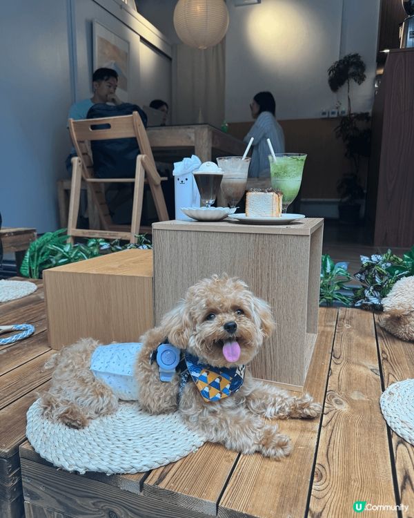 闊別兩年骨子裡回來了！新址選擇了旺中帶靜的旺角新商場U Co...