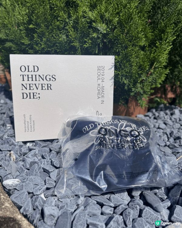 同大家曬一曬近排新寵💕