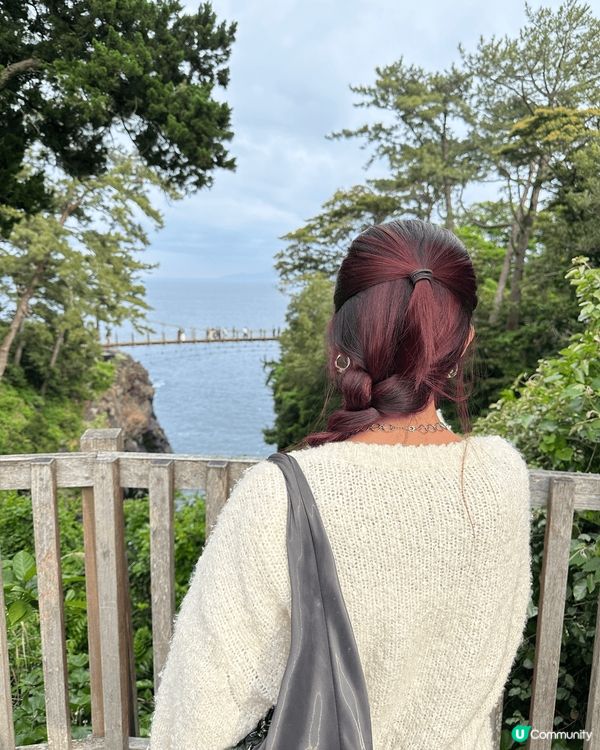 好多人去日本都會去鎌倉，但今次去伊豆都好靚同好好玩，有水豚又...