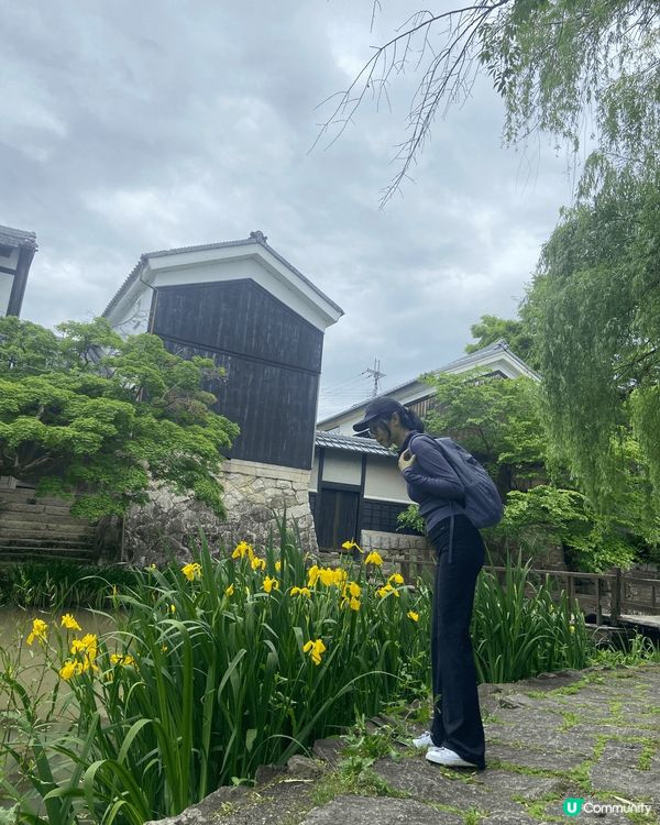 滋賀，因一個日本國內最大的淡水湖琵琶湖而聞名的縣城。