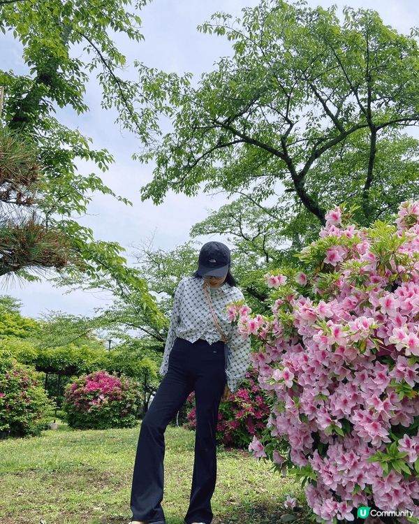 滋賀，因一個日本國內最大的淡水湖琵琶湖而聞名的縣城。