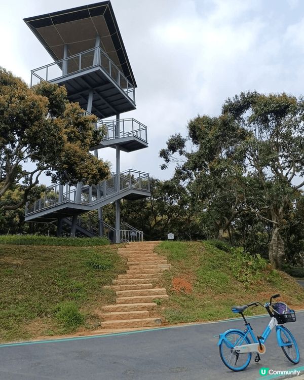 深圳環西麗湖綠道，西麗站出借單車就可以出發。
