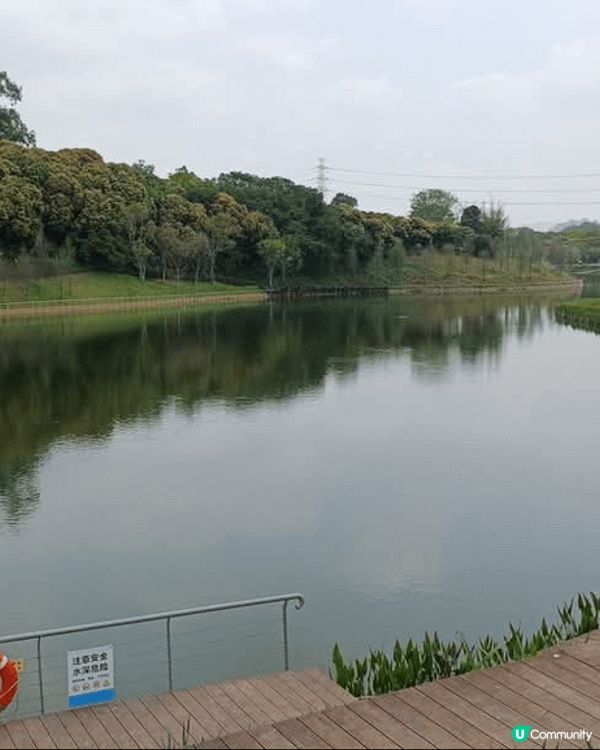 深圳環西麗湖綠道，西麗站出借單車就可以出發。