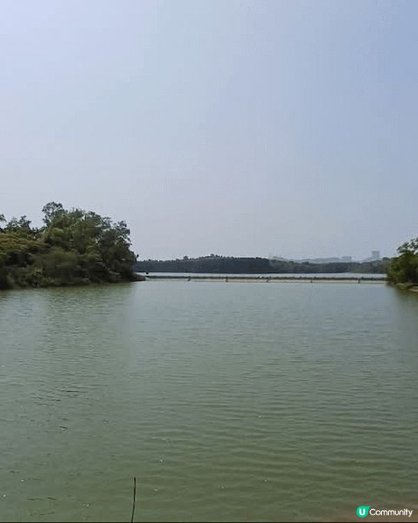 深圳環西麗湖綠道，西麗站出借單車就可以出發。