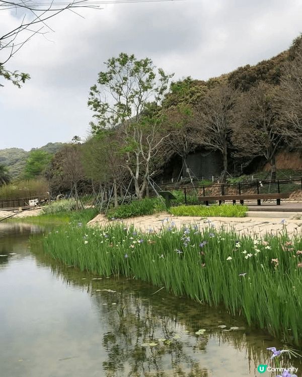 深圳環西麗湖綠道，西麗站出借單車就可以出發。