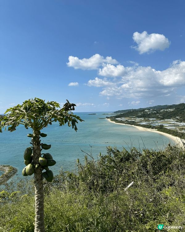 知念岬公園在沖繩的東南角，景觀遼闊，滿滿的大自然景觀，藍天白...