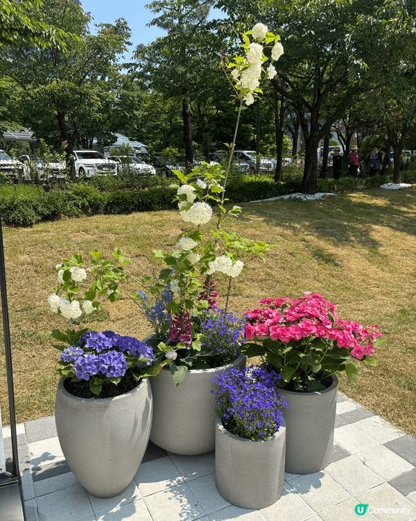 最近首爾喺波拉美公園（보라매공원)舉行 Seoul inte...