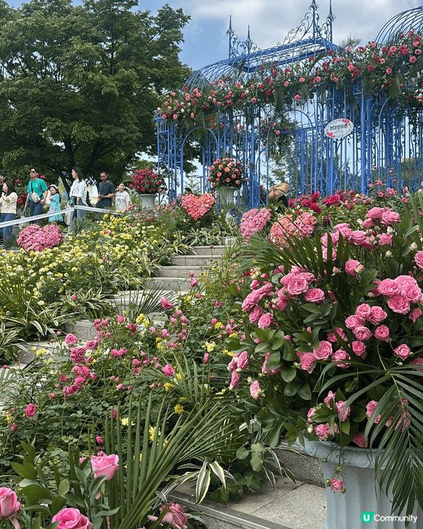 最近首爾喺波拉美公園（보라매공원)舉行 Seoul inte...