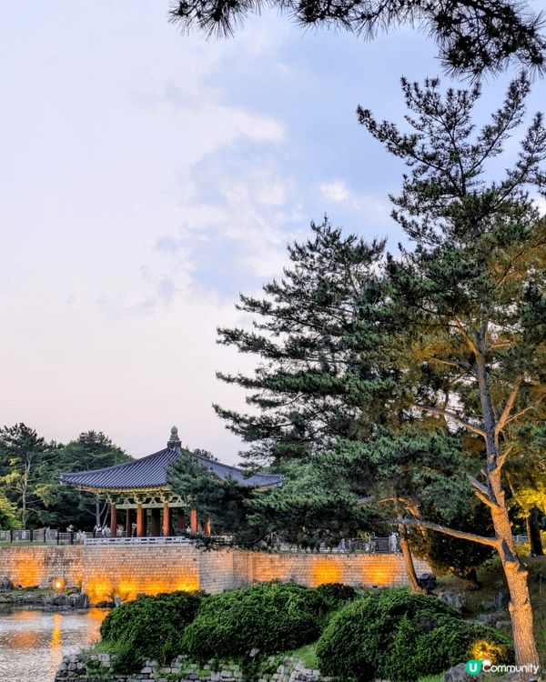 韓國慶州月精橋，拍照超美！晚上開燈特別浪漫