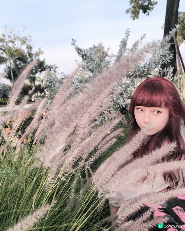 圖片都是在旅行時的打卡，覺得當下的風景值得推介