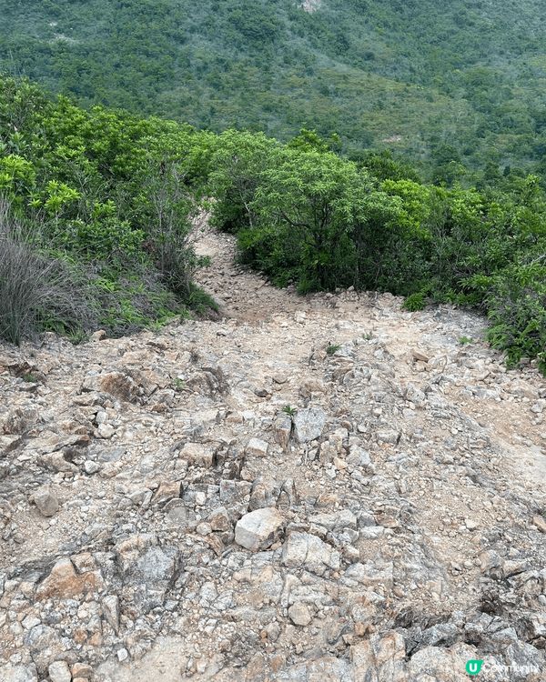 有左韓式髮型神器，出門都靚晒，唔使日日要扎辮🤣