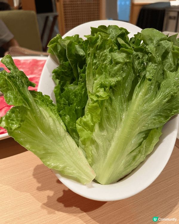 🍽️肉多多火鍋