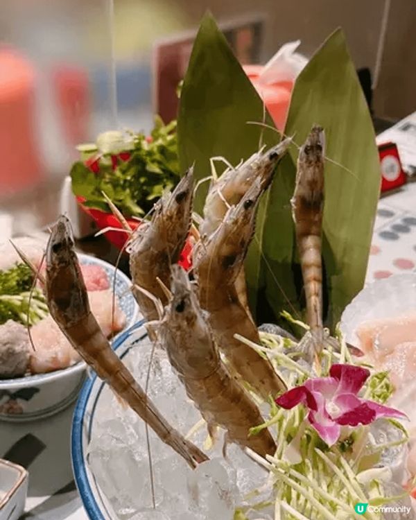 一入到「叁不館」就好似時光倒流翻去60年代嘅香港🇭🇰播住懷舊...