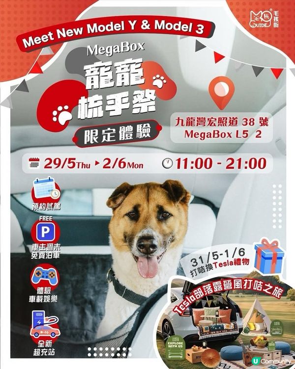 九龍灣毛孩街部落露營風🏕️打卡位登場！🐶🐱
