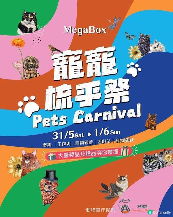 九龍灣毛孩街部落露營風🏕️打卡位登場！🐶🐱