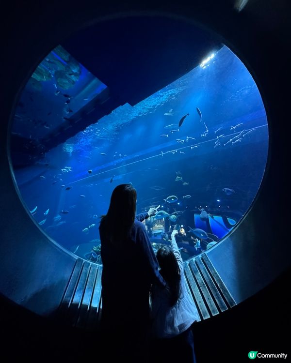 沖繩｜探索海洋的奇妙世界🌊